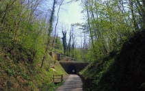 El túnel de Bois Clair